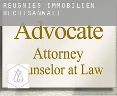 Reugnies  immobilien rechtsanwalt