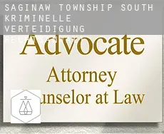 Saginaw Township South  kriminelle verteidigung rechtsanwalt