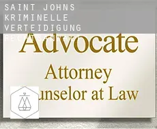 Saint Johns  kriminelle verteidigung rechtsanwalt
