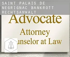 Saint-Palais-de-Négrignac  bankrott rechtsanwalt