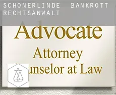 Schönerlinde  bankrott rechtsanwalt