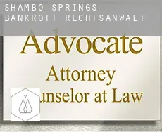 Shambo Springs  bankrott rechtsanwalt