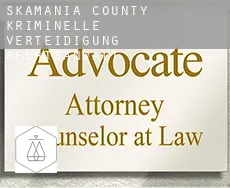 Skamania County  kriminelle verteidigung rechtsanwalt