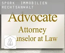 Spork  immobilien rechtsanwalt