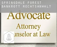 Springdale Forest  bankrott rechtsanwalt
