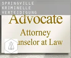 Springville  kriminelle verteidigung rechtsanwalt