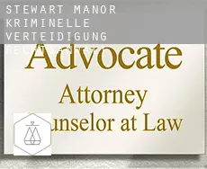 Stewart Manor  kriminelle verteidigung rechtsanwalt