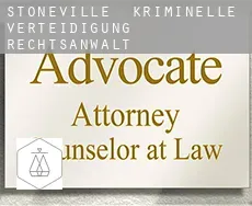 Stoneville kriminelle verteidigung rechtsanwalt