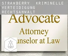 Strawberry kriminelle verteidigung rechtsanwalt
