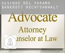 Susinos del Páramo  bankrott rechtsanwalt