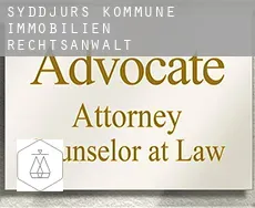 Syddjurs Kommune  immobilien rechtsanwalt