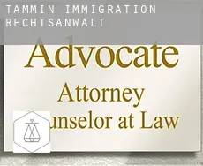 Tammin  immigration rechtsanwalt
