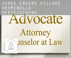 Three Creeks Village kriminelle verteidigung rechtsanwalt
