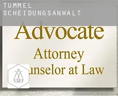 Tummel  Scheidungsanwalt