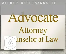Wilder rechtsanwälte