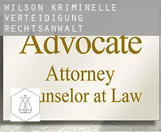Wilson  kriminelle verteidigung rechtsanwalt
