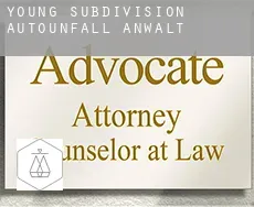 Young Subdivision  Autounfall Anwalt