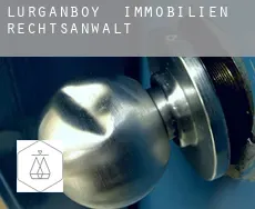 Lurganboy immobilien rechtsanwalt