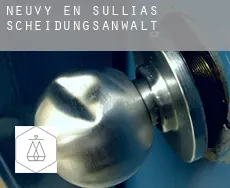 Neuvy-en-Sullias  Scheidungsanwalt