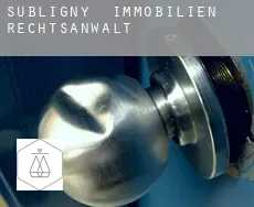 Subligny  immobilien rechtsanwalt