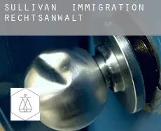 Sullivan  immigration rechtsanwalt