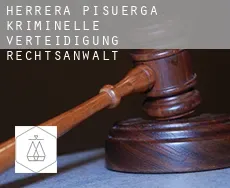 Herrera de Pisuerga  kriminelle verteidigung rechtsanwalt