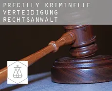 Précilly  kriminelle verteidigung rechtsanwalt