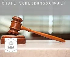 Chute  Scheidungsanwalt
