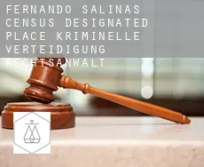 Fernando Salinas  kriminelle verteidigung rechtsanwalt