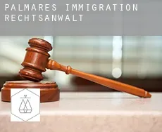 Palmares  immigration rechtsanwalt