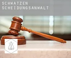 Schwatzen  Scheidungsanwalt