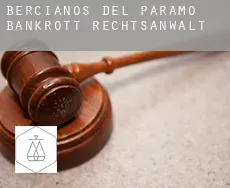 Bercianos del Páramo  bankrott rechtsanwalt