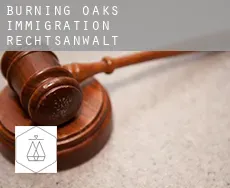 Burning Oaks  immigration rechtsanwalt