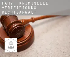 Fahy  kriminelle verteidigung rechtsanwalt