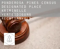Ponderosa Pines  kriminelle verteidigung rechtsanwalt