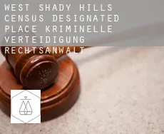 West Shady Hills  kriminelle verteidigung rechtsanwalt