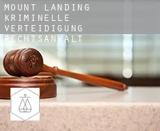 Mount Landing kriminelle verteidigung rechtsanwalt