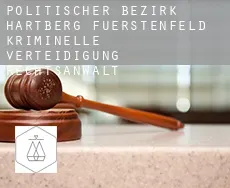 Politischer Bezirk Hartberg-Fuerstenfeld kriminelle verteidigung rechtsanwalt