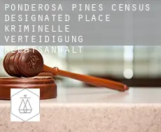 Ponderosa Pines  kriminelle verteidigung rechtsanwalt
