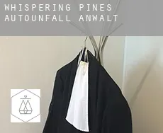 Whispering Pines  Autounfall Anwalt