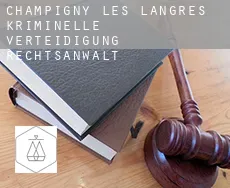 Champigny-lès-Langres  kriminelle verteidigung rechtsanwalt
