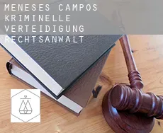 Meneses de Campos  kriminelle verteidigung rechtsanwalt