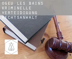 Ogeu-les-Bains  kriminelle verteidigung rechtsanwalt
