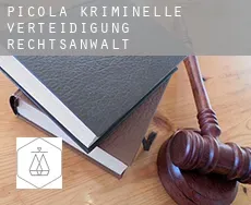 Picola kriminelle verteidigung rechtsanwalt
