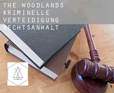 The Woodlands  kriminelle verteidigung rechtsanwalt