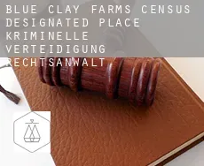 Blue Clay Farms  kriminelle verteidigung rechtsanwalt