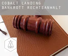Cobalt Landing  bankrott rechtsanwalt