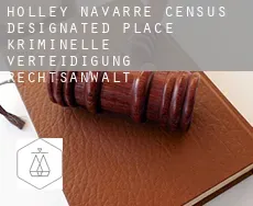 Holley Navarre kriminelle verteidigung rechtsanwalt