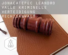 Jonacatepec de Leandro Valle  kriminelle verteidigung rechtsanwalt
