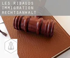 Les Ribauds  immigration rechtsanwalt